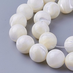 Shell Beads Strands, Round, 12~12.3mm, Hole: 1.5mm, about 32pcs/strand, 15.27 inch(38.8cm)