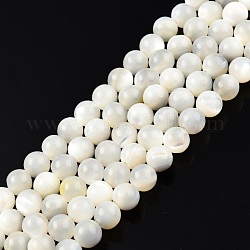 Fili di perline di conchiglia bianco naturale, tondo, 6mm, Foro: 1 mm, circa 67pcs/filo, 15.16 pollice ~ 14.96 pollici (38~38.5 cm)