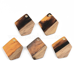 Pendentifs en bois de résine et de noyer, polygone, orange, 21x18.5x3mm, Trou: 2mm