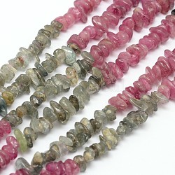 Chips natürlichen Turmalin Perlen Stränge, Mischfarbe, 3~5x3~5x3~5 mm, Bohrung: 1 mm, etwa 16 Zoll