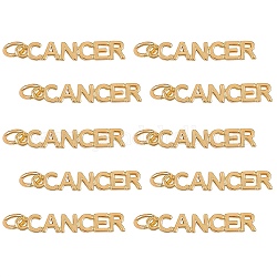 10шт латунные подвески, с прыжковых колец, долговечный, знак созвездия / зодиака, золотые, рак, рак: 4x22.5x1.5 мм, отверстие : 3 мм