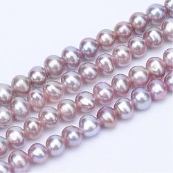 Fili di perle di perle d'acqua dolce coltivate naturali, tondo, rosa antico, 3~3.5mm, Foro: 0.8 mm, circa 113pcs/filo, 14.17 pollice