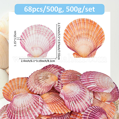 500 г натуральных ракушек DJEW-FH0001-35C-1