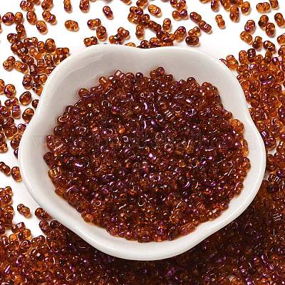 Спрей роспись стекла бисер SEED-F005-05A-01-1