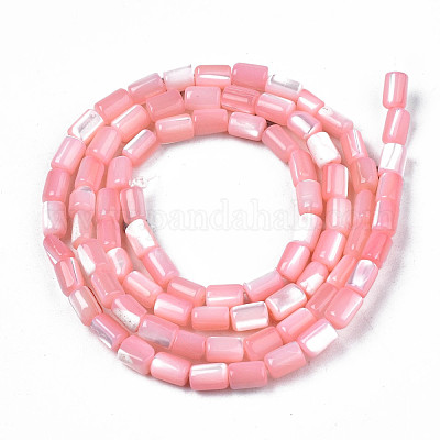 Нити бусин из натуральных трохоидных/трохус ракушек SHEL-N003-26-B05-1