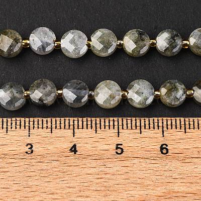 Природные лабрадорита бисер нитей G-K389-B66-01-1