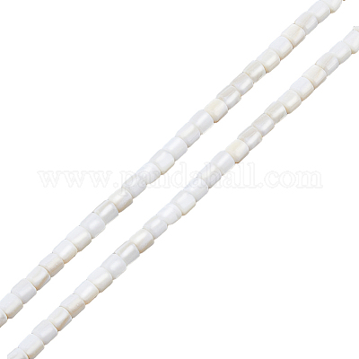 2 нить бусин из натуральных пресноводных ракушек SHEL-HS0001-06-1