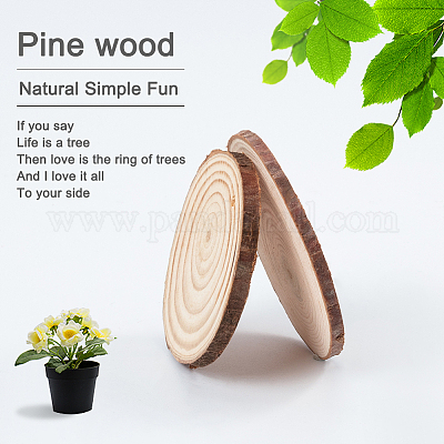 Unfinished Natural with Tree Bark Wood Slices 6 pcs Disc Coasters Wood  Coaster