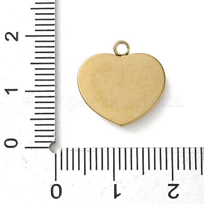 Подвески из акрила из нержавеющей стали 304 STAS-M091-02B-G-1