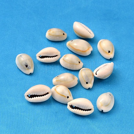 Perle naturali di conchiglia di ciprea X-BSHE-S049-1