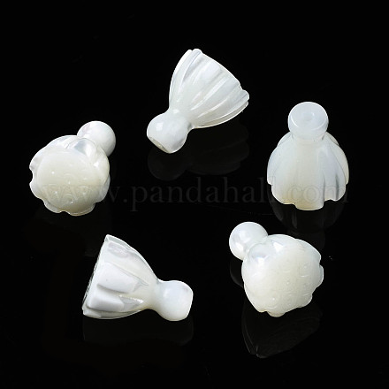 Perle trochid naturali / conchiglie trochus SSHEL-N032-40-1