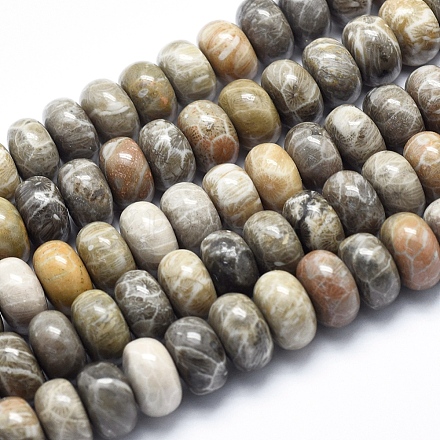 Natural Fossil Coral Beads Strands G-K256-10D-1