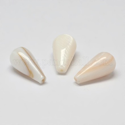Teardrop Natural White Shell Beads SSHEL-P001-08-1