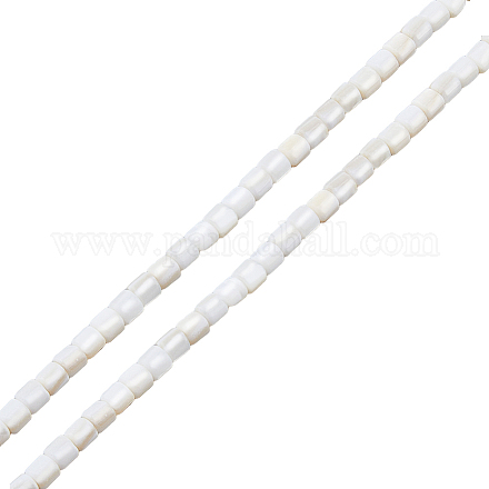 2 нить бусин из натуральных пресноводных ракушек SHEL-HS0001-06-1