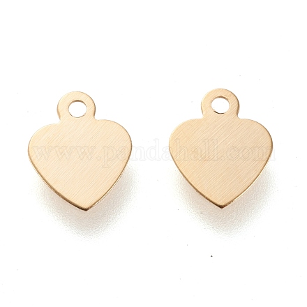 304 Stainless Steel Charms STAS-K195-13G-1