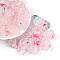 Transparent Acrylic Beads, Plum Blossom, Two Tone, Pink, 20x19.5x7mm, Hole: 1.6~1.8mm, about 230pcs/500g