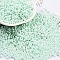 Baking Paint Glass Seed Beads, Peanut, Pale Turquoise, 2x4.5x2mm, Hole: 0.8~0.9mm, about 15000pcs/pound