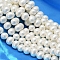 Oval Shell Pearl Bead Strands, White, 12.5x11x10mm, Hole: 1~1.2mm, about 39pcs/strand, 15.74 inch