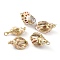 Natural Spiral Shell Pendants, with Brass Findings, Golden, 27~32x14.5~19.5x12~15mm, Hole: 3.5mm