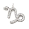 304 Stainless Steel Micro Pave Cubic Zirconia Charms, Constellation, Capricorn, 14.5x15.5x2mm, Hole: 1.8mm
