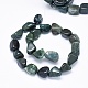 Natural Moss Agate Beads Strands G-F637-24-2