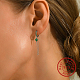 Cubic Zirconia Hoop Earrings DM6204-2-3