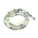 Chapelets de perles naturelles de jade du Myanmar/jade de Birmanie G-D0001-08-6mm-2