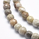 Natural Fossil Coral Beads Strands G-K256-11-6mm-3