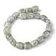 Natural Labradorite Beads Strands G-F743-02B-3