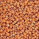 8/0 Glass Seed Beads SEED-XCP0001-10-2