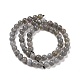 Chapelets de perles en labradorite naturelle G-P259-03-6mm-5