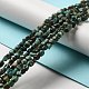 Natural African Turquoise(Jasper) Beads Strands G-D081-A05-5