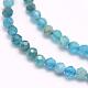 Natural Apatite Beads Strands G-F509-17-4mm-3