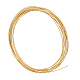 カスタムツイスト丸銅線  ゴールドカラー  18ゲージ  1mm  約16.40フィート（5m）/バンドル CWIR-WH0012-04G-01-9