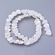 Chapelets de perles de coquillage SSHEL-E571-36-2