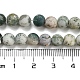 Natural Tree Agate Frosted Agate Round Gemstone Beads Strands G-O151-01-6mm-2
