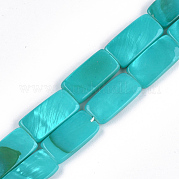Бусины из пресноводных раковин SHEL-T010-04E