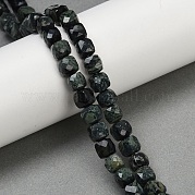 Натуральные пряди камбабы из яшмы G-H078-C46-6mm