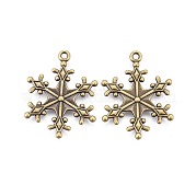 Подвески из цинкового тибетского сплава TIBEP-12740-AB-LF