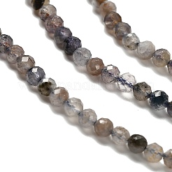 Природные иолит нитей бисера&nbsp;LS-G-RM2025-22-3mm