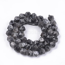 Brins de perles de larvikite naturelles&nbsp;G-S348-03