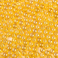 Perline di vetro trasparenti&nbsp;SEED-N007-33A-03