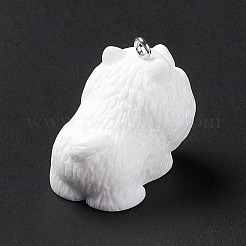 Подвески из непрозрачной смолы&nbsp;RESI-E032-01P-05