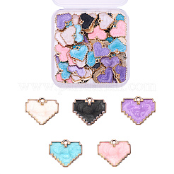 70шт 5 цвета светлые позолоченные подвески из сплава с эмалью&nbsp;ENAM-CJ0001-94