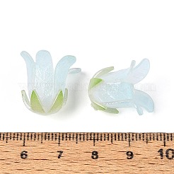 Термоусадочные акриловые колпачки&nbsp;OACR-N155-04A