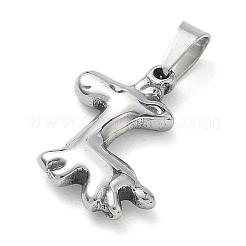 Colgantes de acero inoxidable 304&nbsp;STAS-B141-02B-P