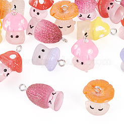 24 шт. подвески из смолы 6 стилей с железными петлями платинового тона RESI-TA0004-17