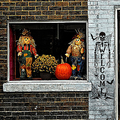 Трафареты для рисования домашних животных DIY-WH0426-0014