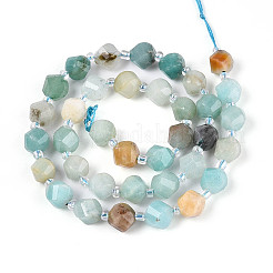 Натуральный цветок амазонитовые бусины пряди G-T144-24A-02