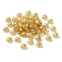 Железные причудливые бусины X-ZX-E003Y-G